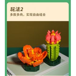 JAKI JK2728 2728 non  CÂY GỖ MỌNG NƯỚC 6 LOẠI VŨ ĐIỆU HOÀNG HÔN ĐÀO TRỨNG XƯƠNG RỒNG HỔ PHÁCH VÀNG MẪU ĐƠN TÍM bộ đồ chơi xếp lắp ráp ghép mô hình Flowers PLANTE Hoa