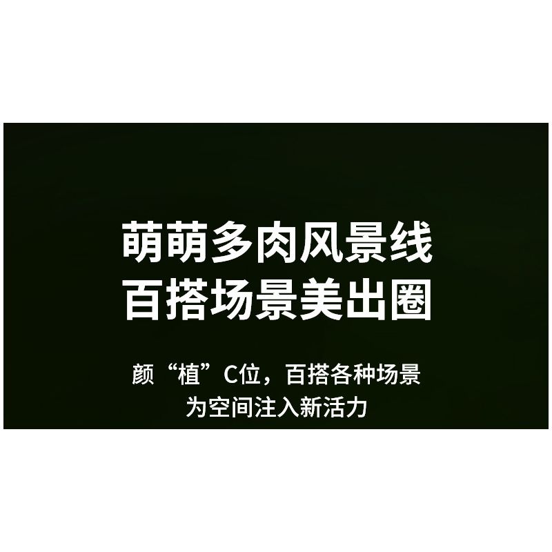 JAKI JK2728 2728 non  CÂY GỖ MỌNG NƯỚC 6 LOẠI VŨ ĐIỆU HOÀNG HÔN ĐÀO TRỨNG XƯƠNG RỒNG HỔ PHÁCH VÀNG MẪU ĐƠN TÍM bộ đồ chơi xếp lắp ráp ghép mô hình Flowers PLANTE Hoa