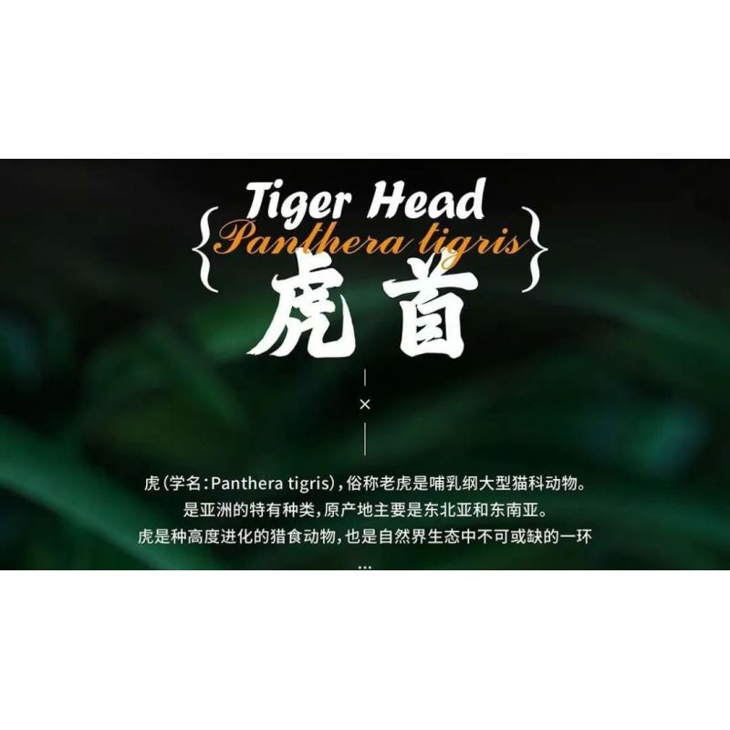 QIZHILE E03000 03000 103000 non  ĐẦU HỔ bộ đồ chơi xếp lắp ráp ghép mô hình Creator Expert TIGER HEAD Chuyên Gia Sáng Tạo