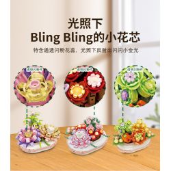 JAKI JK2721 2721 non  NĂM THÁNG BAY TRONG LÒNG BÀN TAY bộ đồ chơi xếp lắp ráp ghép mô hình 331 khối