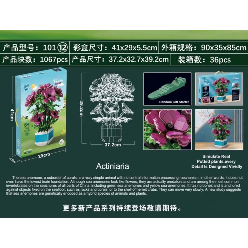 ZUANMA 101-12 non  HẢI QUỲ ĐỎ bộ đồ chơi xếp lắp ráp ghép mô hình Creator ACTINIARIA Sáng Tạo 1067 khối