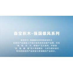 SEMBO 202190 non  MỘT QUỐC GIA HÙNG MẠNH MÁY BAY CHIẾN ĐẤU TRÊN TÀU SÂN J-15 bộ đồ chơi xếp lắp ráp ghép mô hình Military Army Quân Sự Bộ Đội 1298 khối