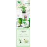 XINGBAO XB-05004 05004 XB05004 non  CÂY TRỒNG TRONG CHẬU HOA HUỆ YAOCHI bộ đồ chơi xếp lắp ráp ghép mô hình Creator LILY IN THE JADE POOL Sáng Tạo 905 khối