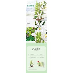 XINGBAO XB-05006 05006 XB05006 non  CÂY TRỒNG TRONG CHẬU HOA JADE ASTER SHADOW bộ đồ chơi xếp lắp ráp ghép mô hình Creator JADE-LIKE LEAVES AND GRACEFUL CHRYSANTHEMUM Sáng Tạo 991 khối