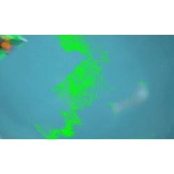 PanlosBrick 685013 Panlos Brick 685013 non  ĐƯỢC ỦY QUYỀN BỞI WULING SỬA ĐỔI MINI tỷ lệ 1:10 bộ đồ chơi xếp lắp ráp ghép mô hình  WULING AUTHORIZED Kỹ Thuật Công Nghệ Cao Mô Hình Phương Tiện