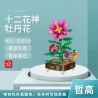ZHEGAO 01019 non  HOA MẪU ĐƠN bộ đồ chơi xếp lắp ráp ghép mô hình 575 khối