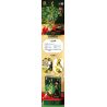 QIZHILE 92010 non  HOA MỘC TÊ bộ đồ chơi xếp lắp ráp ghép mô hình Creator FRAGRANS Sáng Tạo 430 khối