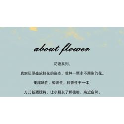 Kazi KY81123 81123 NGÔN NGỮ CỦA CÁC LOÀI HOA 8 LOẠI THU HẢI ĐƯỜNG THỦY TIÊN MỘC QUA MAO ĐỊA HOÀNG ĐỖ QUYÊN LỤC BÌNH CLIVIA LÁ BẮC VÀNG bộ đồ chơi xếp lắp ráp ghép mô hình Creator FLOWER LANGUAGE Sáng Tạo 805 khối