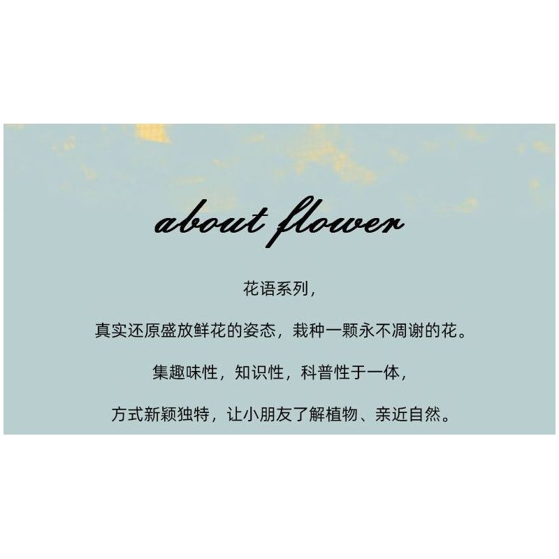 Kazi KY81123 81123 NGÔN NGỮ CỦA CÁC LOÀI HOA 8 LOẠI THU HẢI ĐƯỜNG THỦY TIÊN MỘC QUA MAO ĐỊA HOÀNG ĐỖ QUYÊN LỤC BÌNH CLIVIA LÁ BẮC VÀNG bộ đồ chơi xếp lắp ráp ghép mô hình Creator FLOWER LANGUAGE Sáng Tạo 805 khối