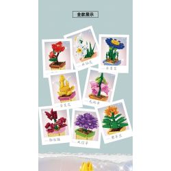 Kazi KY81123 81123 NGÔN NGỮ CỦA CÁC LOÀI HOA 8 LOẠI THU HẢI ĐƯỜNG THỦY TIÊN MỘC QUA MAO ĐỊA HOÀNG ĐỖ QUYÊN LỤC BÌNH CLIVIA LÁ BẮC VÀNG bộ đồ chơi xếp lắp ráp ghép mô hình Creator FLOWER LANGUAGE Sáng Tạo 805 khối