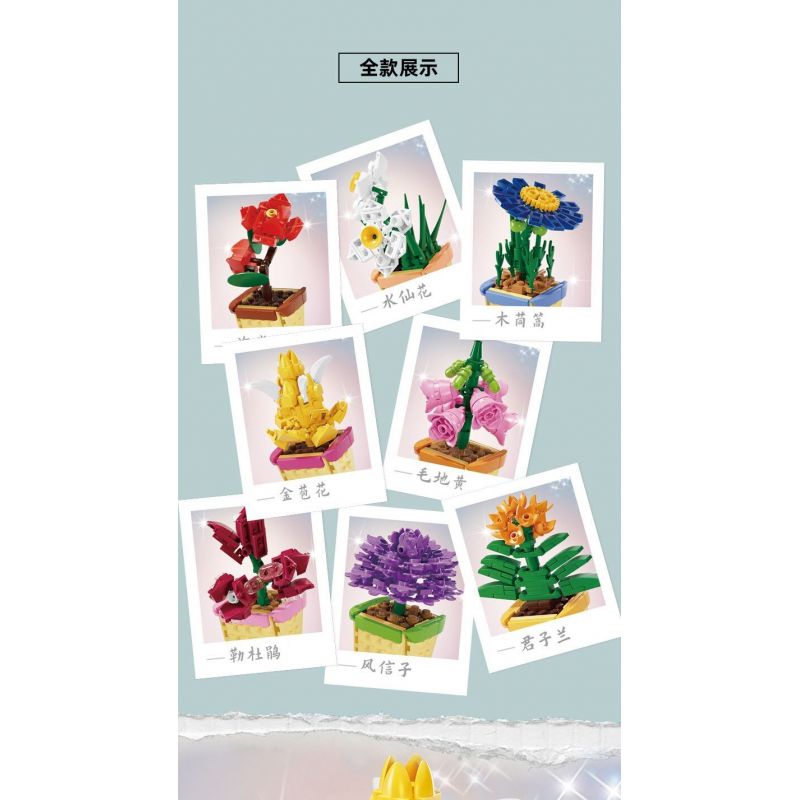 Kazi KY81123 81123 NGÔN NGỮ CỦA CÁC LOÀI HOA 8 LOẠI THU HẢI ĐƯỜNG THỦY TIÊN MỘC QUA MAO ĐỊA HOÀNG ĐỖ QUYÊN LỤC BÌNH CLIVIA LÁ BẮC VÀNG bộ đồ chơi xếp lắp ráp ghép mô hình Creator FLOWER LANGUAGE Sáng Tạo 805 khối