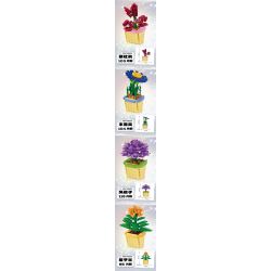 Kazi KY81123 81123 NGÔN NGỮ CỦA CÁC LOÀI HOA 8 LOẠI THU HẢI ĐƯỜNG THỦY TIÊN MỘC QUA MAO ĐỊA HOÀNG ĐỖ QUYÊN LỤC BÌNH CLIVIA LÁ BẮC VÀNG bộ đồ chơi xếp lắp ráp ghép mô hình Creator FLOWER LANGUAGE Sáng Tạo 805 khối