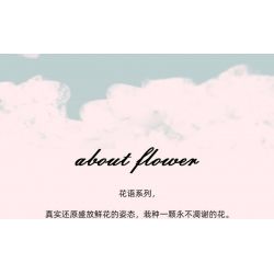 Kazi KY81124 81124 NGÔN NGỮ HOA 8 LOẠI CÚC LAN ANH TÚC ĐÈN LỒNG BƯỚM MỘC CỦ SEN HÀNH LÁ bộ đồ chơi xếp lắp ráp ghép mô hình Creator FLOWER LANGUAGE Sáng Tạo 805 khối