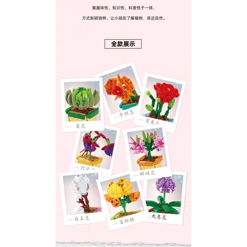 Kazi KY81124 81124 NGÔN NGỮ HOA 8 LOẠI CÚC LAN ANH TÚC ĐÈN LỒNG BƯỚM MỘC CỦ SEN HÀNH LÁ bộ đồ chơi xếp lắp ráp ghép mô hình Creator FLOWER LANGUAGE Sáng Tạo 805 khối