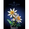 JIESTAR JJ9033 9033 BIỂU MÔ bộ đồ chơi xếp lắp ráp ghép mô hình Creator EPIPHYLLUM BONSAI Sáng Tạo 835 khối