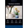 JIESTAR JJ9033 9033 BIỂU MÔ bộ đồ chơi xếp lắp ráp ghép mô hình Creator EPIPHYLLUM BONSAI Sáng Tạo 835 khối