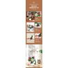 JIESTAR JJ9036 9036 CHẬU CÂY HOA CÚC bộ đồ chơi xếp lắp ráp ghép mô hình Creator CHIYSANTHEMUM POTTED PLANT Sáng Tạo 900 khối