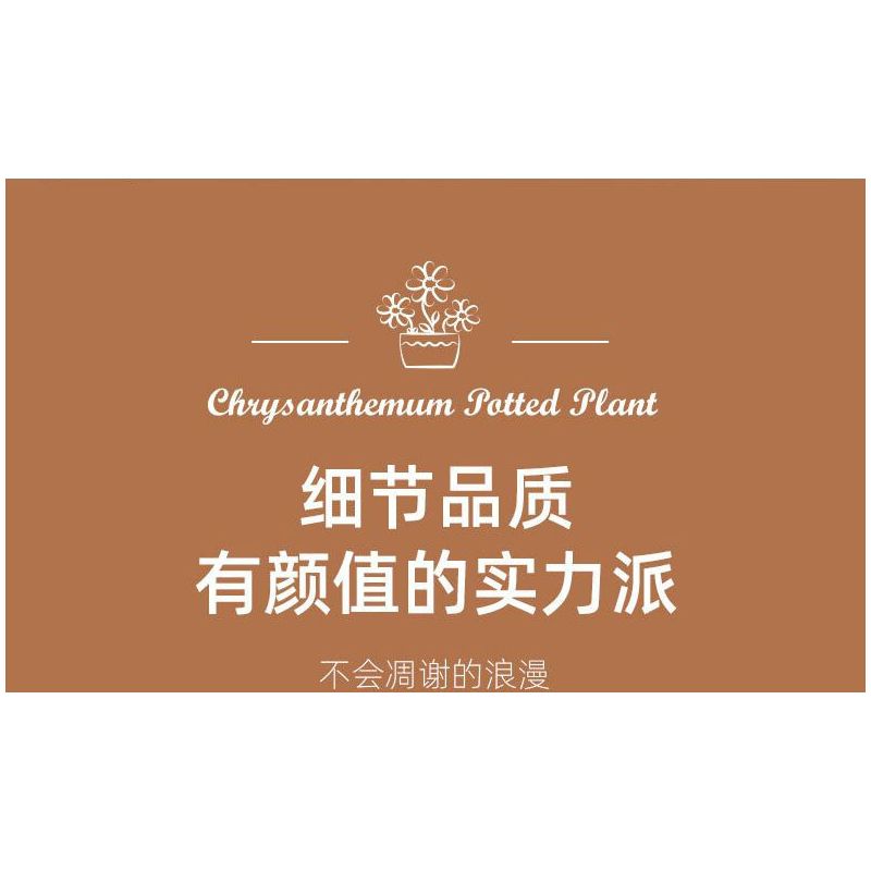 JIESTAR JJ9036 9036 CHẬU CÂY HOA CÚC bộ đồ chơi xếp lắp ráp ghép mô hình Creator CHIYSANTHEMUM POTTED PLANT Sáng Tạo 900 khối