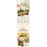 JIESTAR JJ9037 9037 MỌNG NƯỚC bộ đồ chơi xếp lắp ráp ghép mô hình Creator BOTANICAL GARDEN Sáng Tạo 913 khối