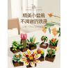 JIESTAR JJ9037 9037 MỌNG NƯỚC bộ đồ chơi xếp lắp ráp ghép mô hình Creator BOTANICAL GARDEN Sáng Tạo 913 khối