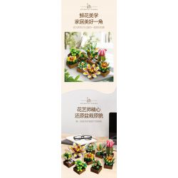 JIESTAR JJ9037 9037 MỌNG NƯỚC bộ đồ chơi xếp lắp ráp ghép mô hình Creator BOTANICAL GARDEN Sáng Tạo 913 khối