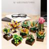 JIESTAR JJ9037 9037 MỌNG NƯỚC bộ đồ chơi xếp lắp ráp ghép mô hình Creator BOTANICAL GARDEN Sáng Tạo 913 khối