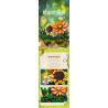 JIESTAR JJ9034 9034 CHẬU CÂY THƯỜNG XUÂN bộ đồ chơi xếp lắp ráp ghép mô hình Creator Sáng Tạo 924 khối