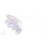 WEKKI 517205 ĐÈN NGỦ HOA THIÊN THẦN DỊU NHẸ bộ đồ chơi xếp lắp ráp ghép mô hình FLOWERS AND ANGLE