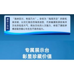 PANTASY 11017 MẪU MÁY BAY BOEING 787 CỦA HÃNG HÀNG KHÔNG XIAMEN AIRLINES bộ đồ chơi xếp lắp ráp ghép mô hình City Thành Phố 800 khối