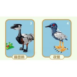 Kazi KY80060 80060 CHIẾN DỊCH BRIGHT WINGS 8 MÔ HÌNH HẢI ÂU SẾU ĐẦU ĐỎ NGỖNG HÀ DIỆC ĐÊM QUẠ CHIM VÀNG ANH HÚT MẬT ĐUÔI LỬA TUCAN bộ đồ chơi xếp lắp ráp ghép mô hình Creator Sáng Tạo 1369 khối