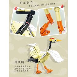 Kazi KY80060 80060 CHIẾN DỊCH BRIGHT WINGS 8 MÔ HÌNH HẢI ÂU SẾU ĐẦU ĐỎ NGỖNG HÀ DIỆC ĐÊM QUẠ CHIM VÀNG ANH HÚT MẬT ĐUÔI LỬA TUCAN bộ đồ chơi xếp lắp ráp ghép mô hình Creator Sáng Tạo 1369 khối