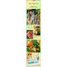 FEMIBOX S2238 2238 LÂU ĐÀI HUALIN bộ đồ chơi xếp lắp ráp ghép mô hình GARDEN CASTLE 1031 khối