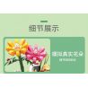 KAIDO KD99008 99008 HỘP NHẠC NIỀM VUI TÌNH YÊU bộ đồ chơi xếp lắp ráp ghép mô hình Creator FOREVER LOVE YOU Sáng Tạo 868 khối