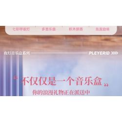 PLEYERID M38-P8011 P8011 8011 M38P8011 38-P8011 HỘP NHẠC ÁNH SÁNG BAN ĐÊM THÀNH PHỐ TRÊN BẦU TRỜI bộ đồ chơi xếp lắp ráp ghép mô hình