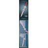 REOBRIX 99015 ĐẠI KIẾM HOÀNG GIA bộ đồ chơi xếp lắp ráp ghép mô hình ROYAL CLAYMORE 981 khối