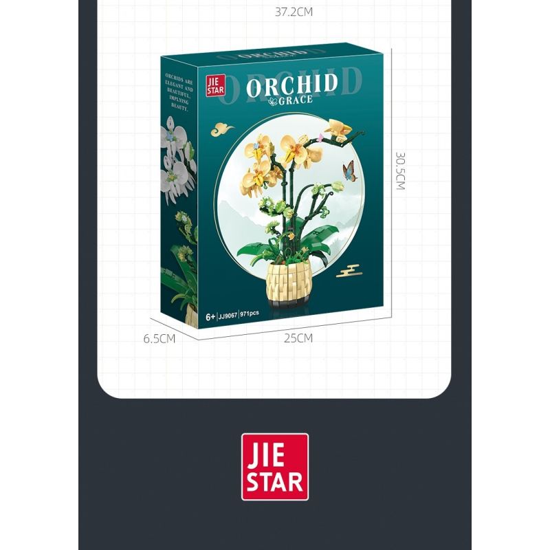 JIESTAR JJ9067 9067 CHẬU CÂY PHONG LAN bộ đồ chơi xếp lắp ráp ghép mô hình Creator ORCHID GRACE Sáng Tạo 971 khối