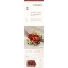 WEILE CREATION 2159 NGÔN NGỮ CỦA HOA KHÔNG NGỦ HỒNG MẶT MỰC bộ đồ chơi xếp lắp ráp ghép mô hình Creator Sáng Tạo 352 khối