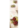 WEILE CREATION 2159 NGÔN NGỮ CỦA HOA KHÔNG NGỦ HỒNG MẶT MỰC bộ đồ chơi xếp lắp ráp ghép mô hình Creator Sáng Tạo 352 khối