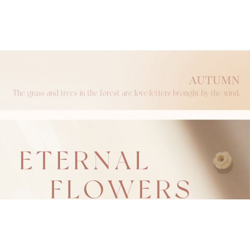 WEILE CREATION 2159 NGÔN NGỮ CỦA HOA KHÔNG NGỦ HỒNG MẶT MỰC bộ đồ chơi xếp lắp ráp ghép mô hình Creator Sáng Tạo 352 khối