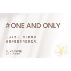 WEILE CREATION 2160 TIẾNG HOA KHÔNG NGỦ TRĂNG THU ĐẦY HƯỚNG DƯƠNG bộ đồ chơi xếp lắp ráp ghép mô hình Creator Sáng Tạo 385 khối