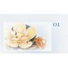 WEILE CREATION 2161 HOA KHÔNG NGỦ SƯƠNG LẠNH BƯỚM bộ đồ chơi xếp lắp ráp ghép mô hình Creator Sáng Tạo 398 khối