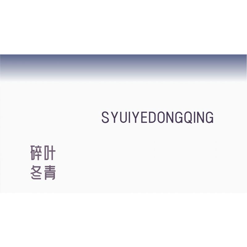 WEILE CREATION 2162 TIẾNG HOA KHÔNG NGỦ LÁ NHỰA RUỒI GÃY bộ đồ chơi xếp lắp ráp ghép mô hình Creator Sáng Tạo 376 khối