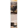 BALODY 21328 CHAOCHUANGSHE THIÊN NGA ĐEN bộ đồ chơi xếp lắp ráp ghép mô hình BLACK SWAN