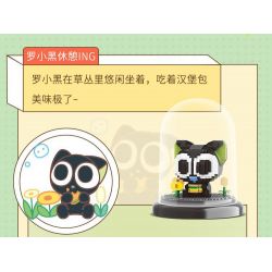 BALODY 18316 CUỘC ĐỜI CỦA LUO XIAOHEI CA SĨ bộ đồ chơi xếp lắp ráp ghép mô hình Movie & Game Phim Và Trò Chơi