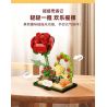 PANTASY 86325 NHỮNG CUỘC PHIÊU LƯU CỦA HOÀNG TỬ BÉ bộ đồ chơi xếp lắp ráp ghép mô hình