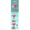 JIALE SPECIAL 33002 NGÔI NHÀ GIÁN ĐIỆP PHI THUYỀN CỦA ANYA bộ đồ chơi xếp lắp ráp ghép mô hình Movie & Game SPY FAMILY Phim Và Trò Chơi 1128 khối