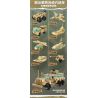KEEPPLEY 32027 CÔNG CHÚA LEIA TRÀ CHIỀU GIỮA NHỮNG BÔNG HOA bộ đồ chơi xếp lắp ráp ghép mô hình Girl PRINCESS LEAH Con Gái