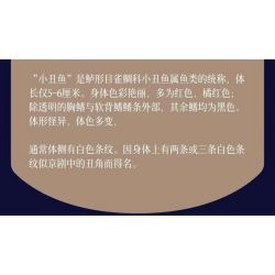 MINGDI LEIBAO K3037 3037 NGÔI TRƯỜNG ĐẸP NHẤT ĐẠI HỌC VŨ HÁN bộ đồ chơi xếp lắp ráp ghép mô hình Creator FAMOUS SCHOOLS Sáng Tạo 1651 khối