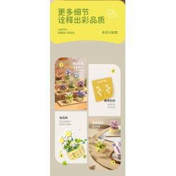 MOYU BLOCK MY97141 97141 YÊU TINH TRONG CHẬU TRÀN ĐẦY NĂNG LƯỢNG bộ đồ chơi xếp lắp ráp ghép mô hình Creator Sáng Tạo 282 khối MOYU BLOCK MY97141 97141 YÊU TINH TRONG CHẬU TRÀN ĐẦY NĂNG LƯỢNG bộ đồ chơi xếp lắp ráp ghép mô hình Creator Sáng Tạo 282 khối