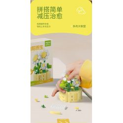 MOYU BLOCK MY97141 97141 YÊU TINH TRONG CHẬU TRÀN ĐẦY NĂNG LƯỢNG bộ đồ chơi xếp lắp ráp ghép mô hình Creator Sáng Tạo 282 khối MOYU BLOCK MY97141 97141 YÊU TINH TRONG CHẬU TRÀN ĐẦY NĂNG LƯỢNG bộ đồ chơi xếp lắp ráp ghép mô hình Creator Sáng Tạo 282 khối